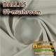 SUERTE DALLAS 01-MUSHROOM