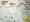 ENAS SOFT REINE 001,002,004